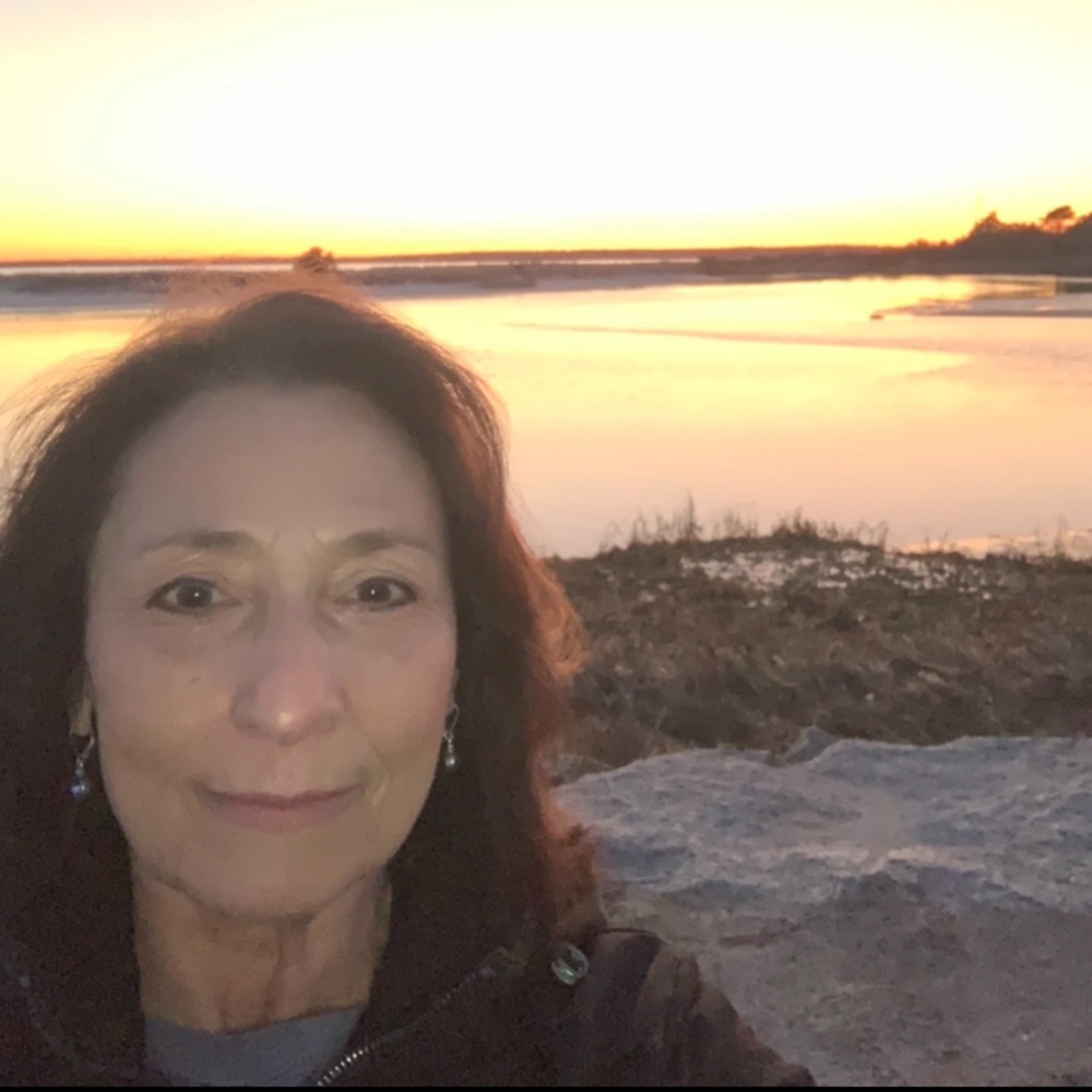 Meet your Posher, Holly